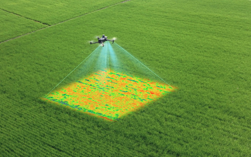 Multispectral Imaging Multispectral Imaging