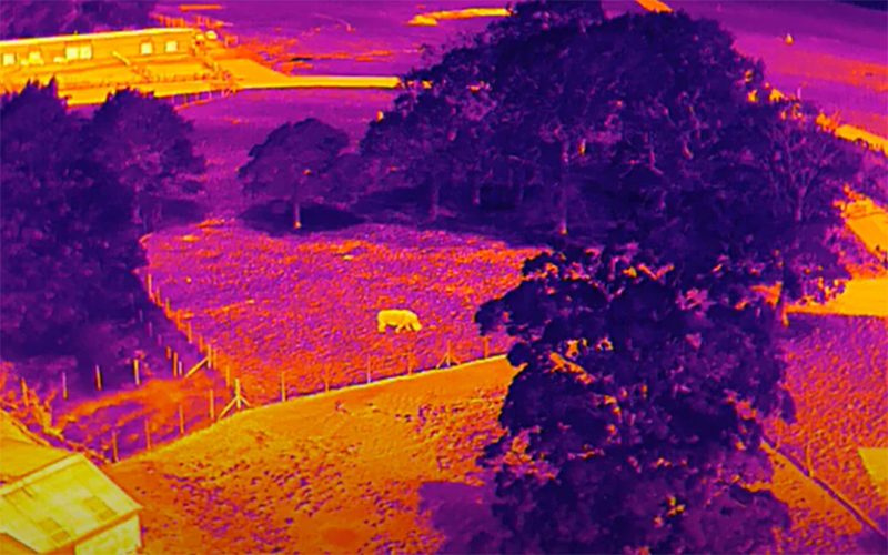 Thermal Imaging Thermal Imaging